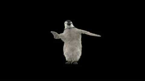 Penguin, With Alpha Matte. Stock Footage 152792498