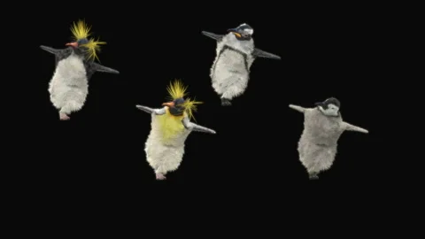Penguin, With Alpha Matte. Stock Footage 156998326