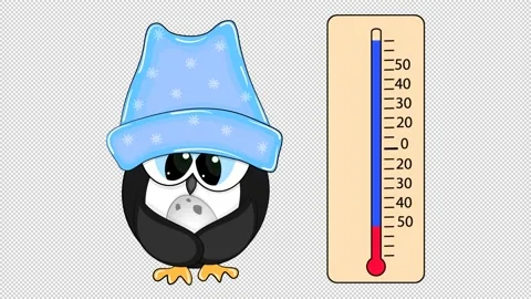 Penguin and thermometer on a transparent background. Stock Footage 156703404