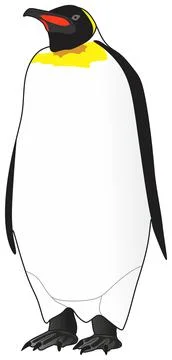 Penguin animal vector drawing standing isolated background cartoon flat design Stock Illustration