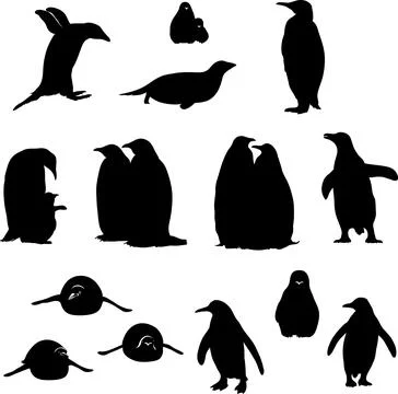 Penguin, bird, chick, portrait, image, fauna, various poses Stock Illustration