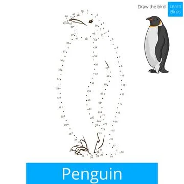 Penguin bird learn to draw vector Stock Illustration