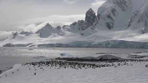 Penguin Colony &amp; Antarctic Mountains 스톡 동영상 106935351