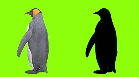 Penguin in digital art Stock Footage 60688210