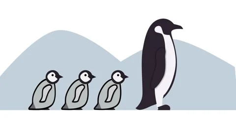 Penguin Family Stock Footage 335624412