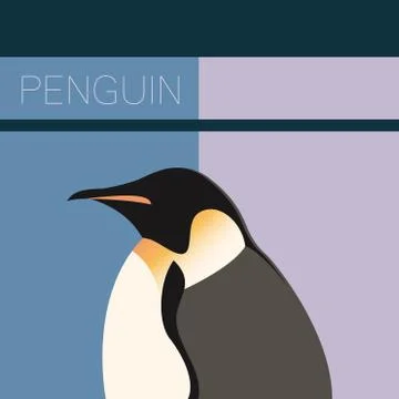 Penguin flat postcard Stock Illustration