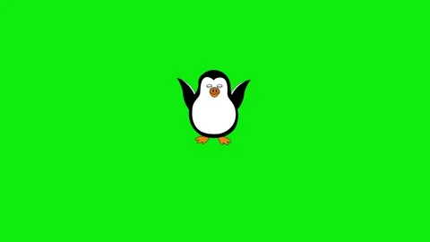 Penguin flying video Video stock 324910909