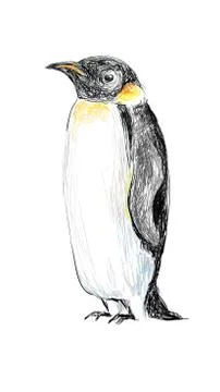 Penguin hand drawn Stock Illustration