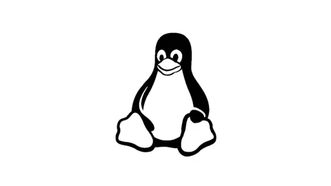 Penguin icon background animated, logo symbol, social media Stock Footage 244150304