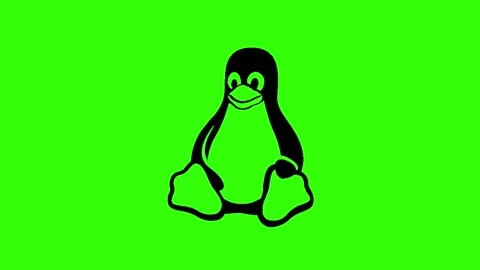 Penguin icon background animated, logo symbol, social media, green screen Stock Footage 244150331