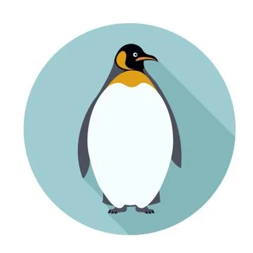 Penguin Stock Illustration