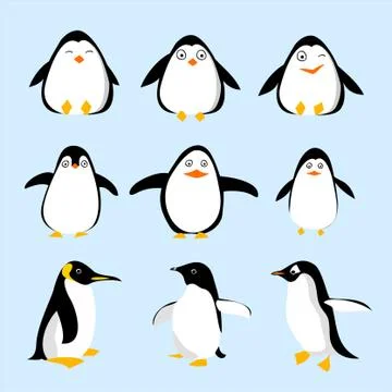 Penguin Stock Illustration