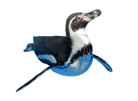 Penguin isolated on white background 스톡 사진