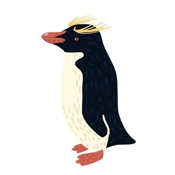 Penguin macaroni isolated on white background. Cute bird from arctic hand dra Illustrazione stock