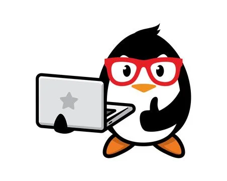 Penguin mascot character design vector Stock Illustration