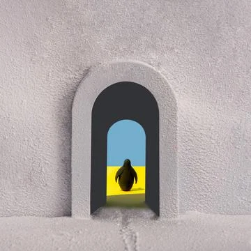 A penguin in the passage between cold and warm climates. The idea of global w Stock Photos