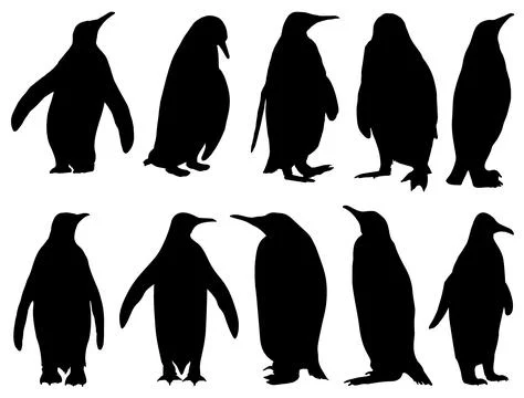 PENGUIN SILHOUETTE VECTOR ART Stock Illustration