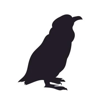 Penguin, silhouette, vector Stock Illustration