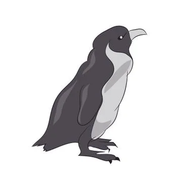 Penguin sketch color, vector Stock-Illustration