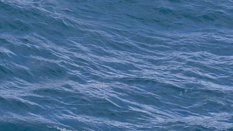 Penguin Slow Motion Jumping Out of Water Porpoising Beautiful Close Up Wild Stock Footage 277913891