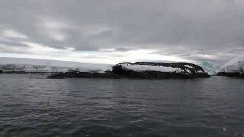 Penguin snow coastline in ocean of Antarctica. Stock Footage