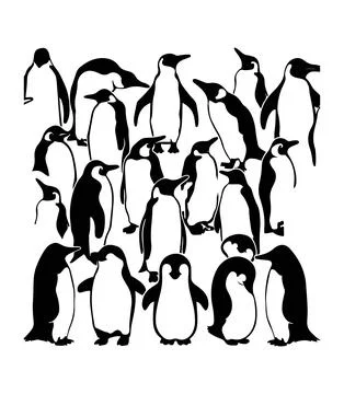 Penguin vector black and white illustration, Penguin silhouette art Stock Illustration