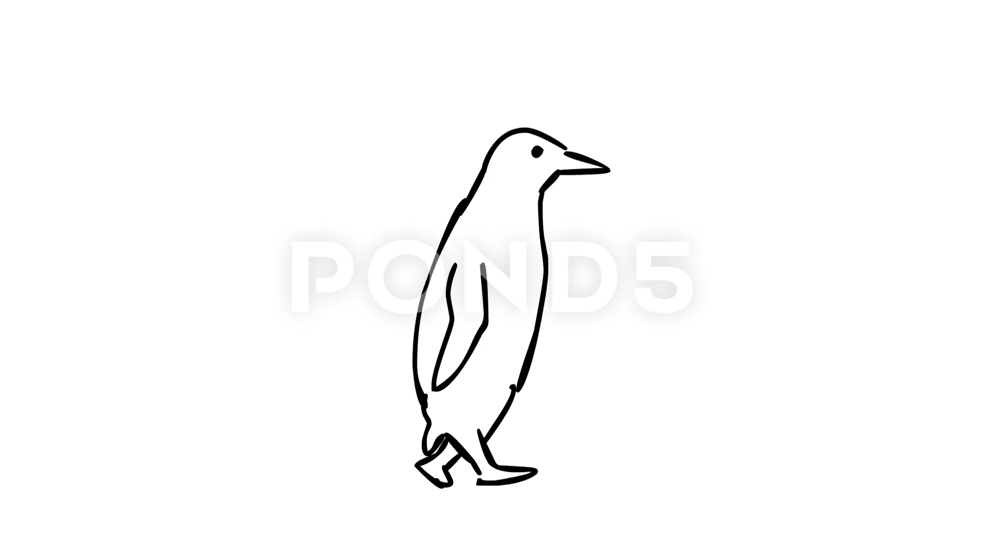 Penguin Walking Drawing 2D Animation | Stock Video | Pond5