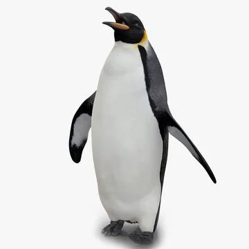 Penguin Walking Pose 3D Model 3D Model