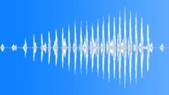 PENGUINS BRAYING Sound Effect
