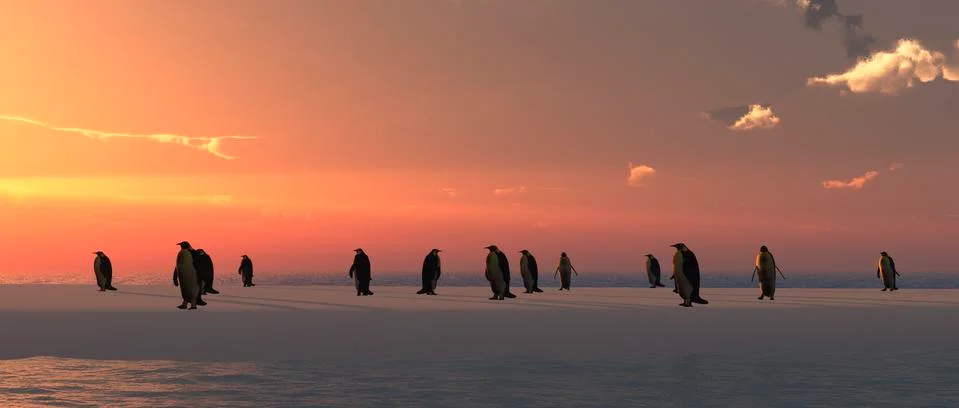 Penguins coming out of an igloo Stock Illustration