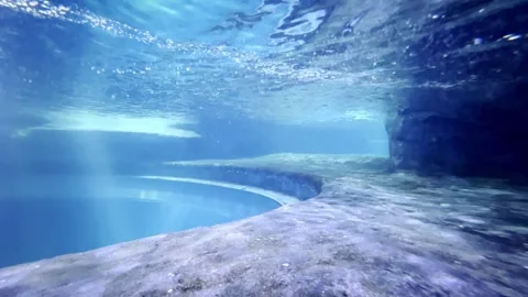 Penguins Diving Into Water Stock Footage 260782819