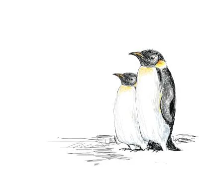 Penguins hand drawn Stock Illustration