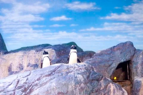 Penguins in ices Stock Photos