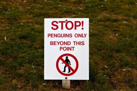 Penguins only Foto stock