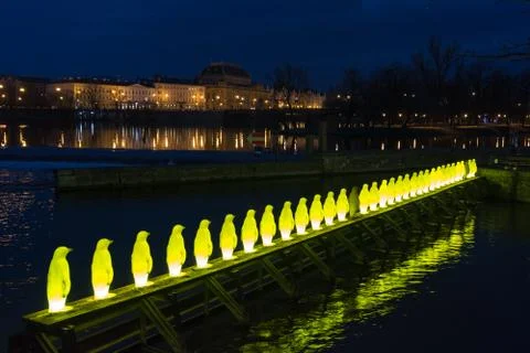 Penguins in Prague Fotos de archivo