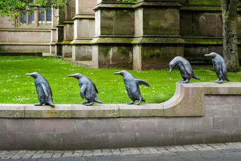 Penguins in the spring park Stock Photos