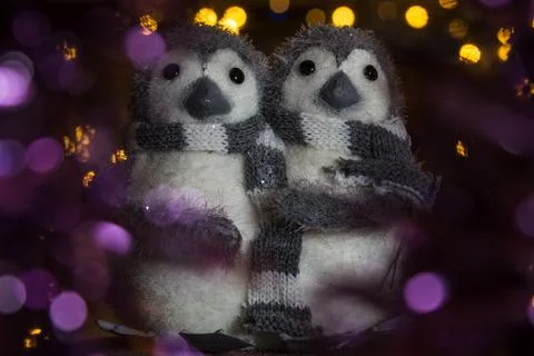 Penguins surrounded in bokeh Stock Photos