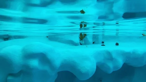 Penguins swimming Stock Footage 120518905