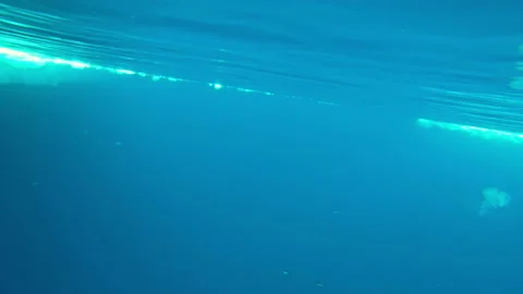 Penguins underwater in ocean Video stock 95249831