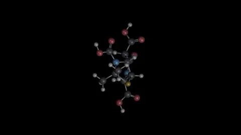 Penicillin Molecule Building Animation on Black Background Vídeos de archivo 344702042