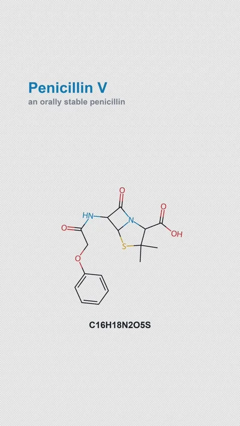 Penicillin V Molecular Structure Labeled Chemistry Alpha 4K Vertical 9x16 Light Stock Footage 340007480