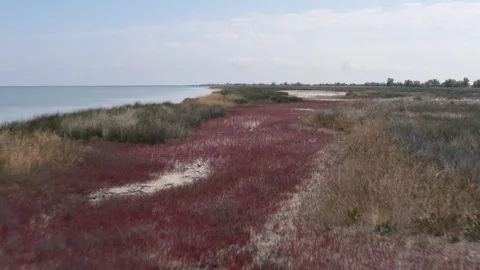 Peninsula drone shot Stock Footage 255625145