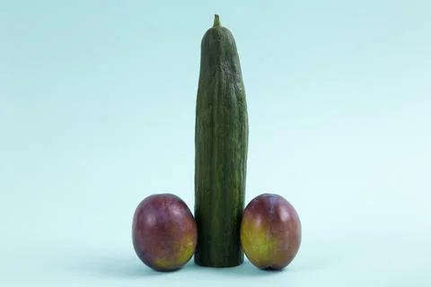 Penis cucumber Stock Photos