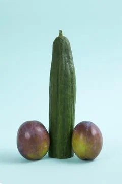 Penis cucumber Stock Photos