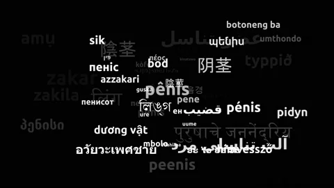Penis Translated in 57 Worldwide Languages Endless Looping 3d Zooming Wordclo Vídeos de archivo 145198044