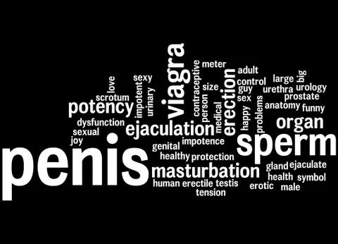 Penis, word cloud concept Illustrazione stock