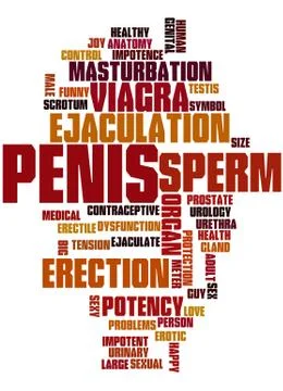 Penis, word cloud concept Illustrazione stock