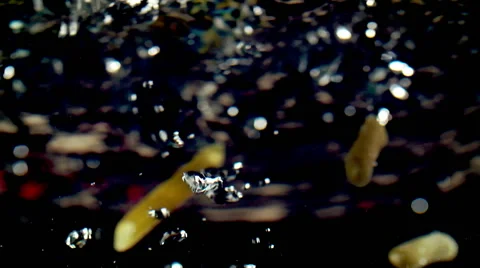Penne Pasta Falling into Water Stock Footage 51632932