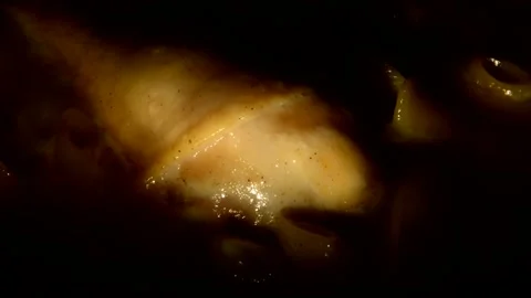Penne rigate pasta with chicken drumstick 動画素材 302122829