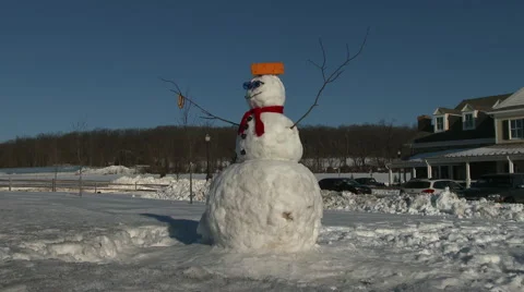 A Pennsylvania Snowman Stock Footage 49753693